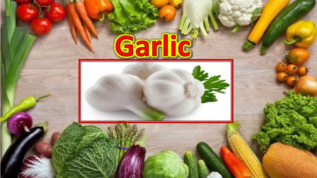 garlic