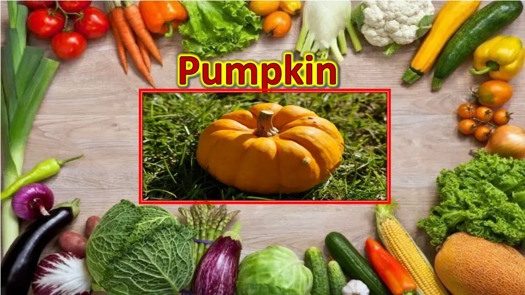 pumpkin