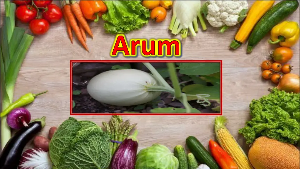 slide4