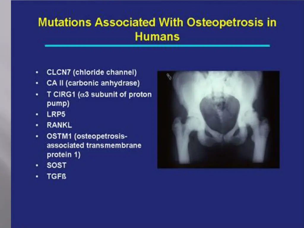 slide6