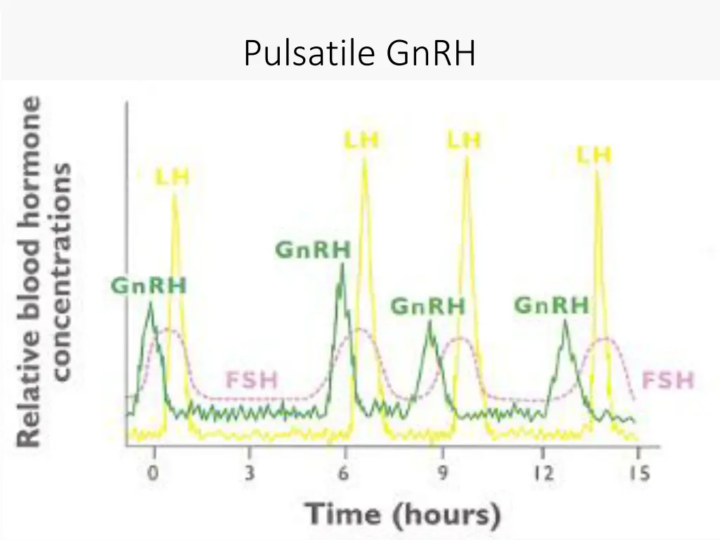 pulsatile gnrh