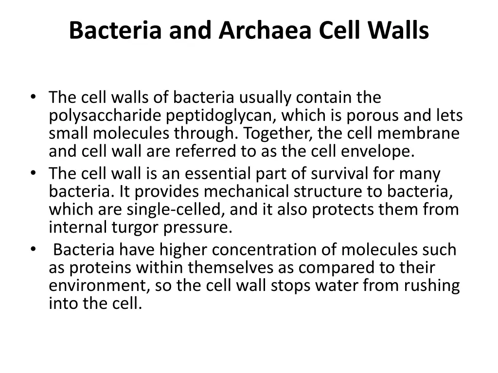 bacteria and archaea cell walls