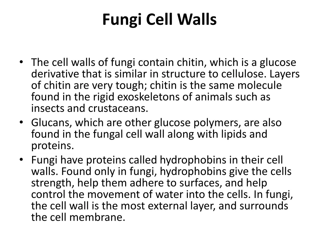 fungi cell walls