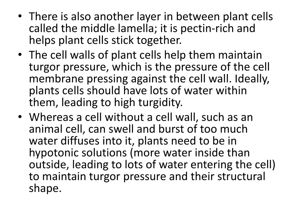 there is also another layer in between plant