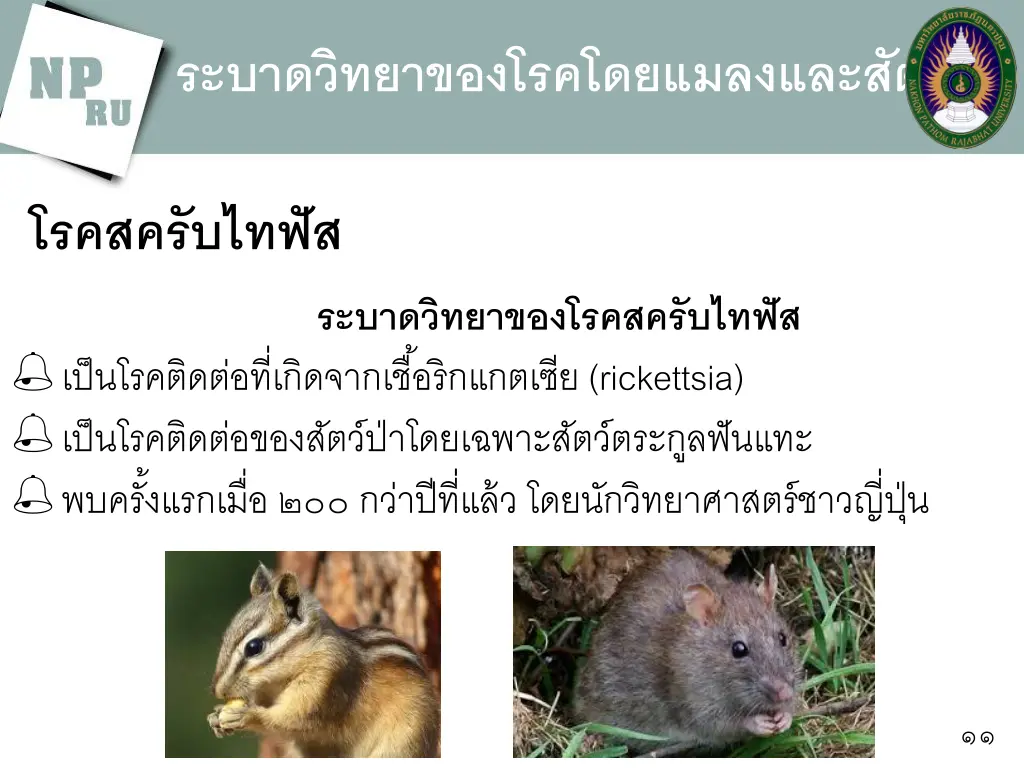 slide11