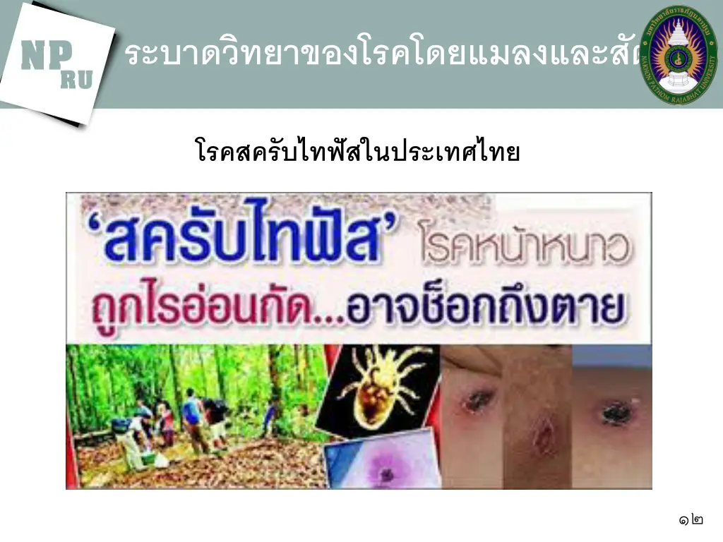 slide12