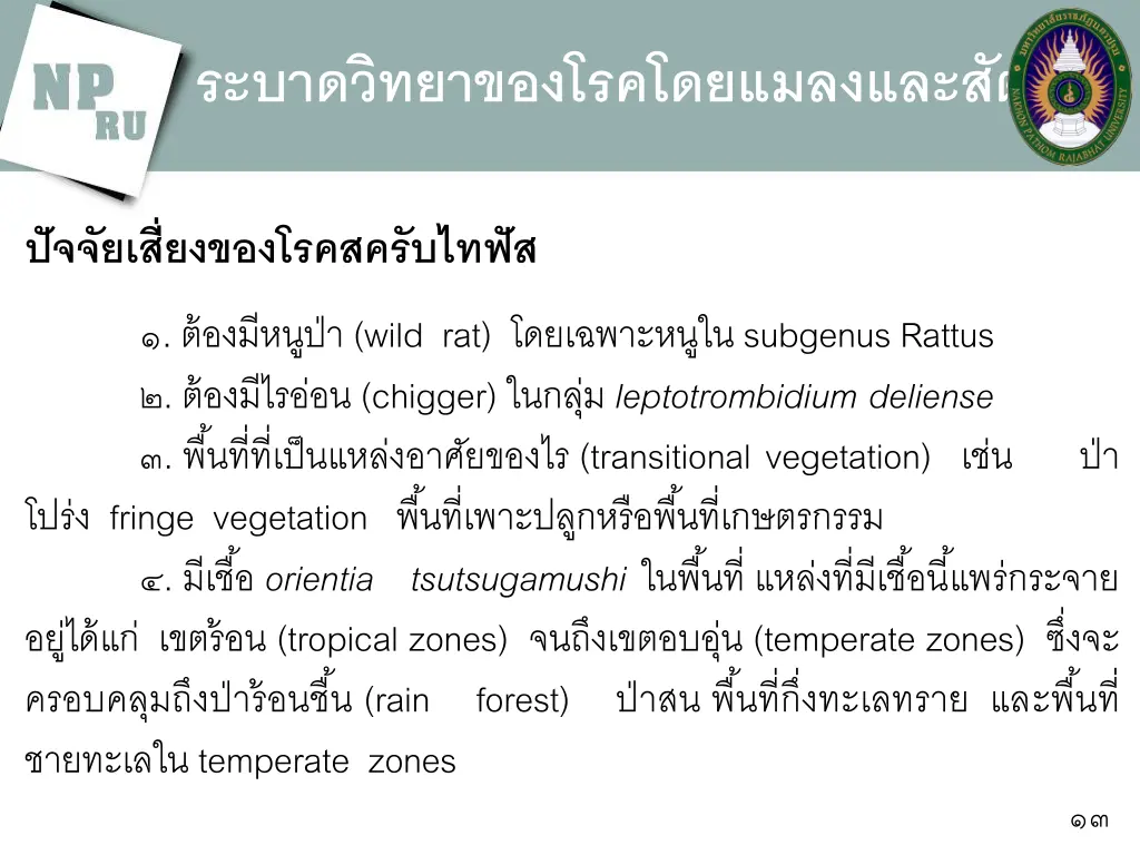 slide13