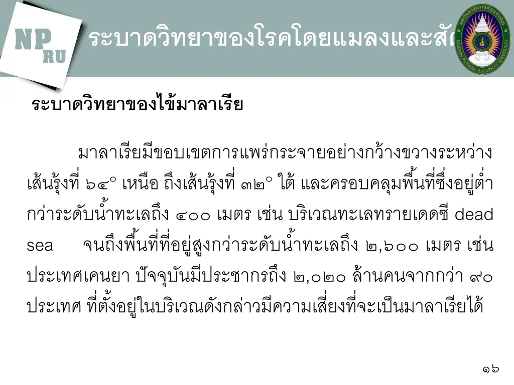 slide16