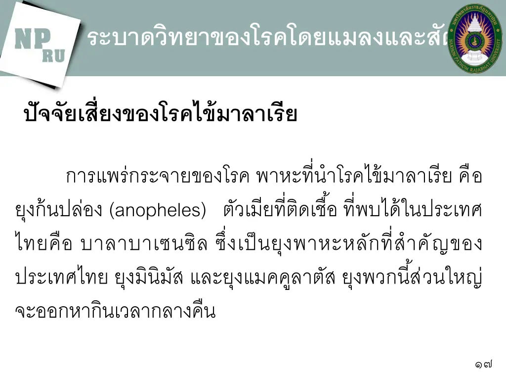 slide17