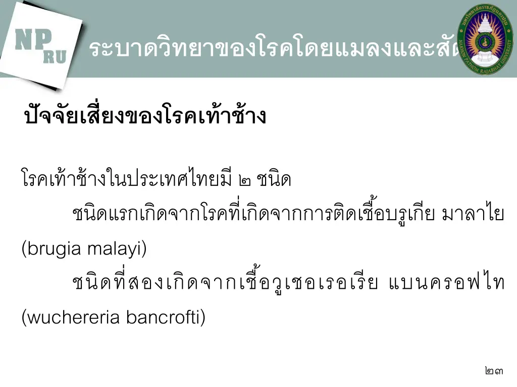 slide23