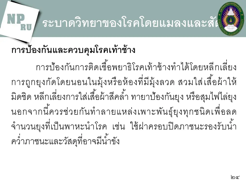 slide24