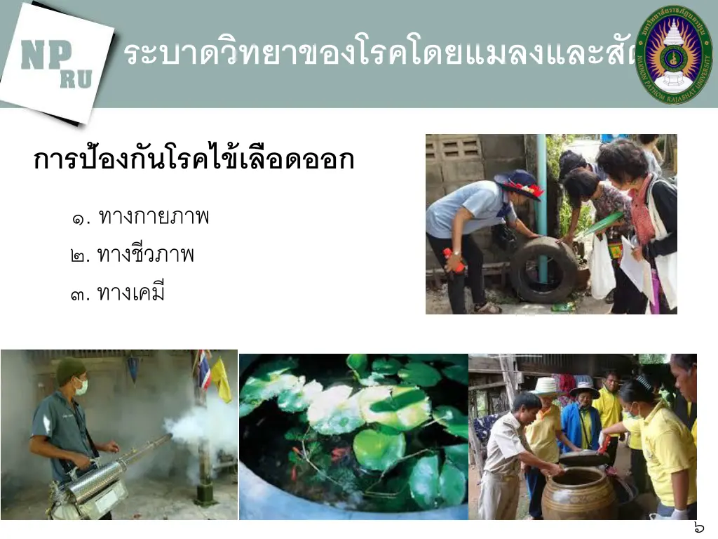 slide6