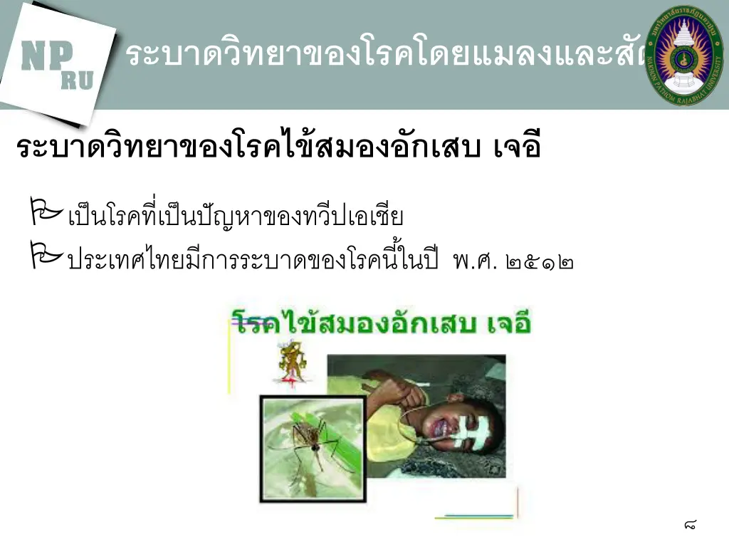 slide8
