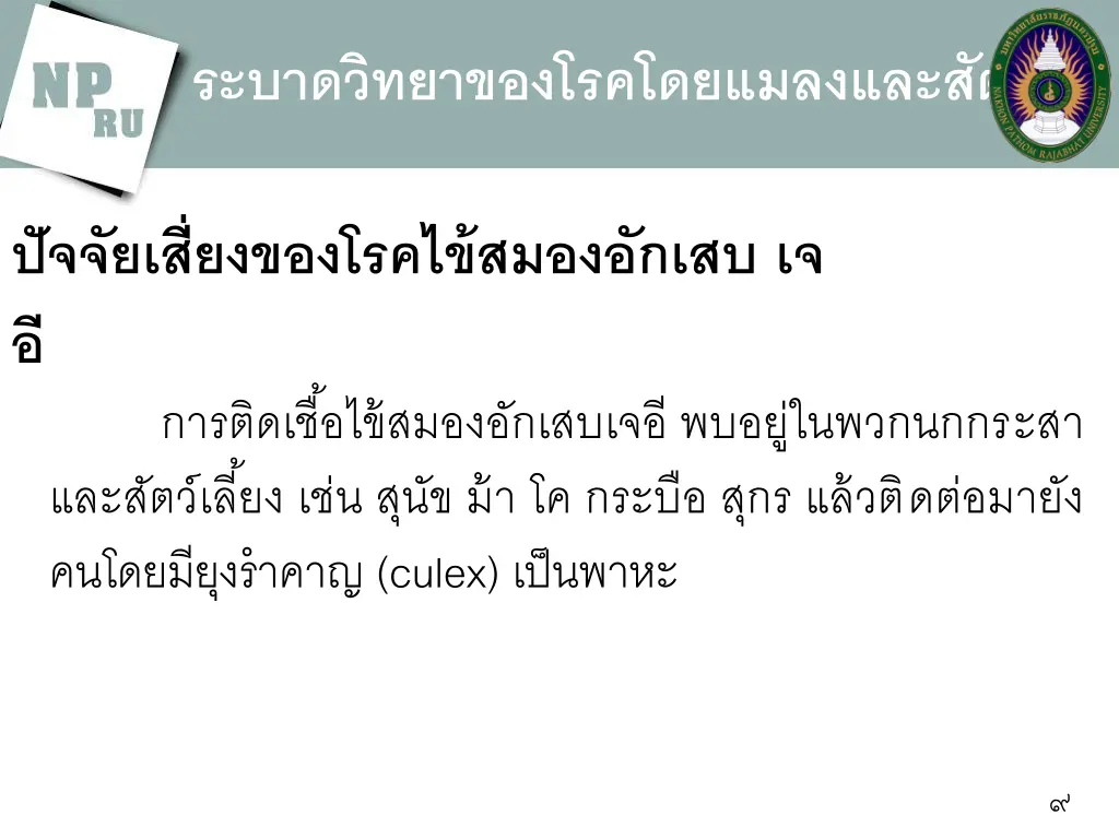 slide9
