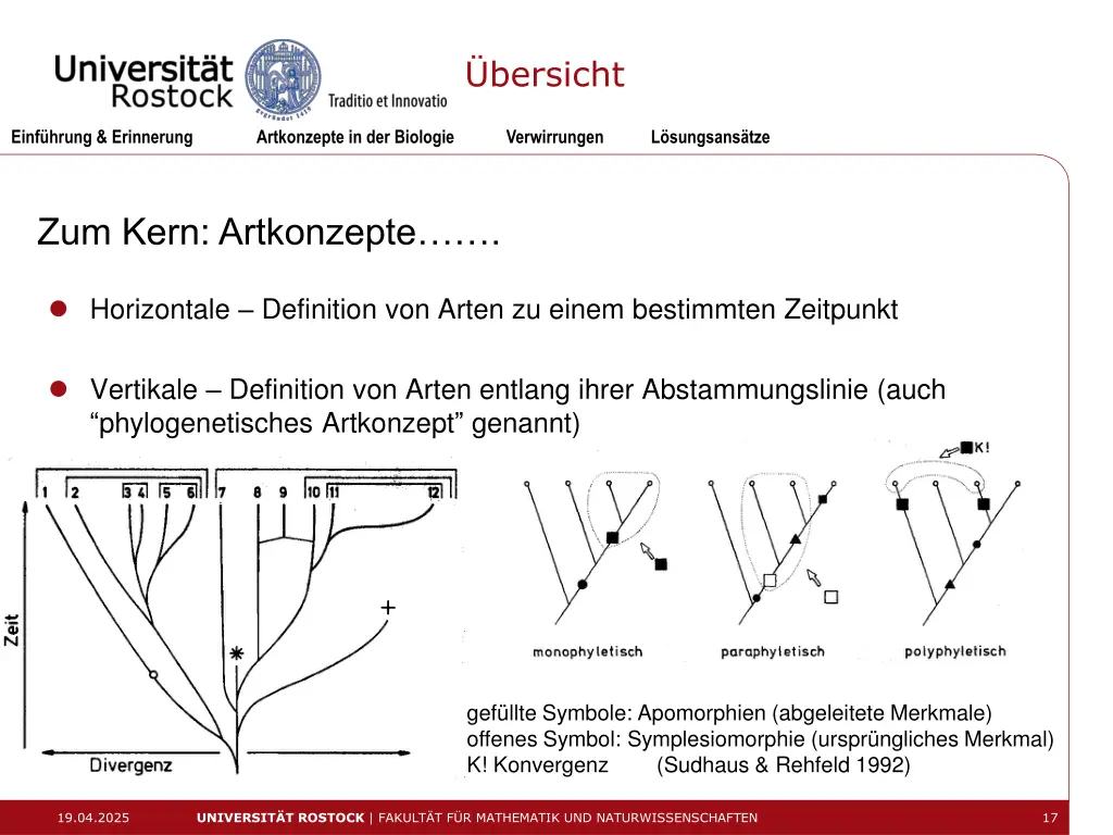 bersicht 11