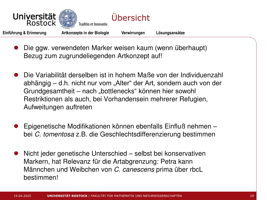 bersicht 13