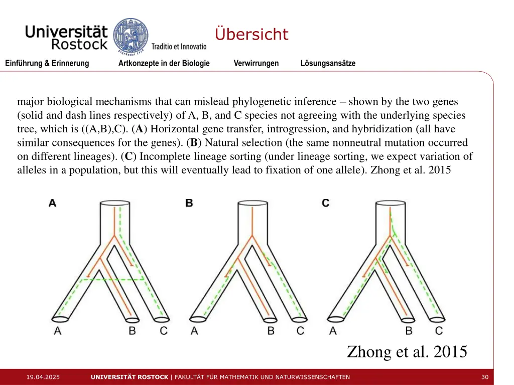 bersicht 14