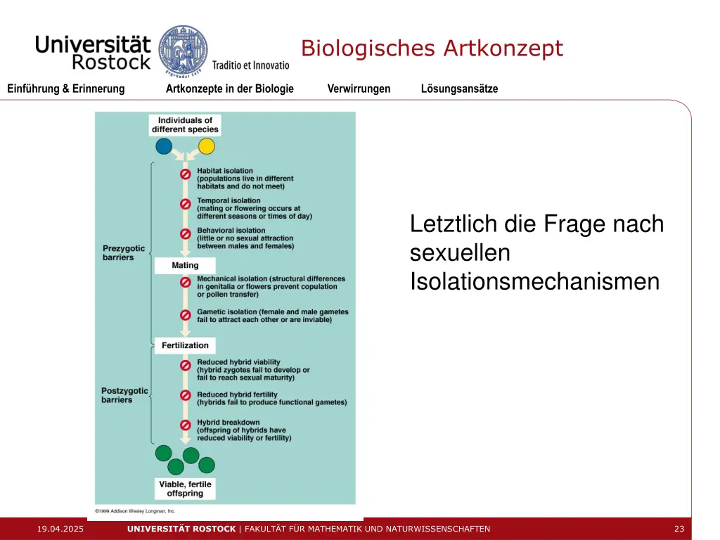 biologisches artkonzept 3
