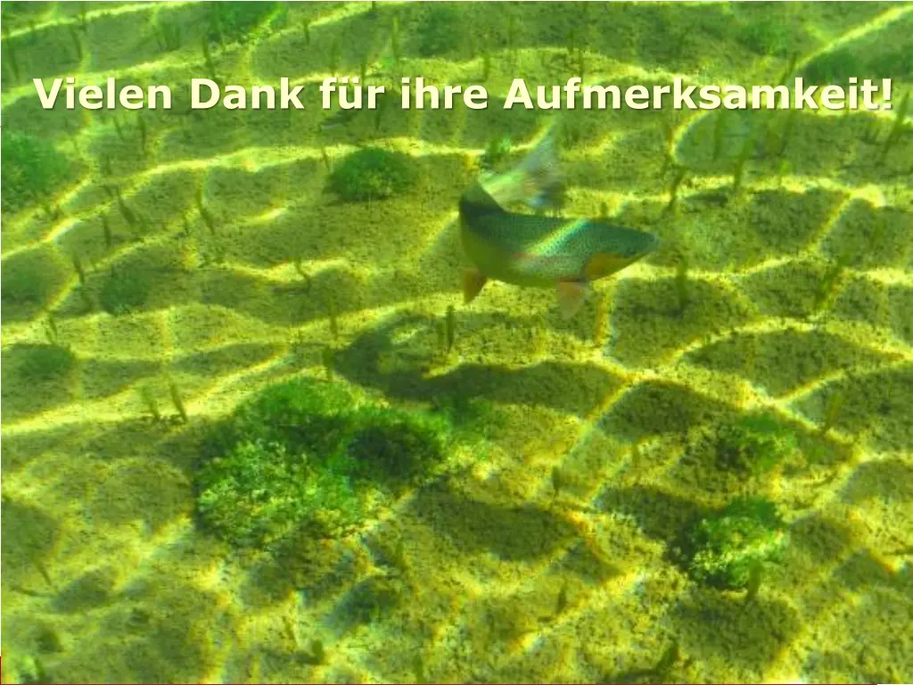 motivation definition vielen dank f r ihre