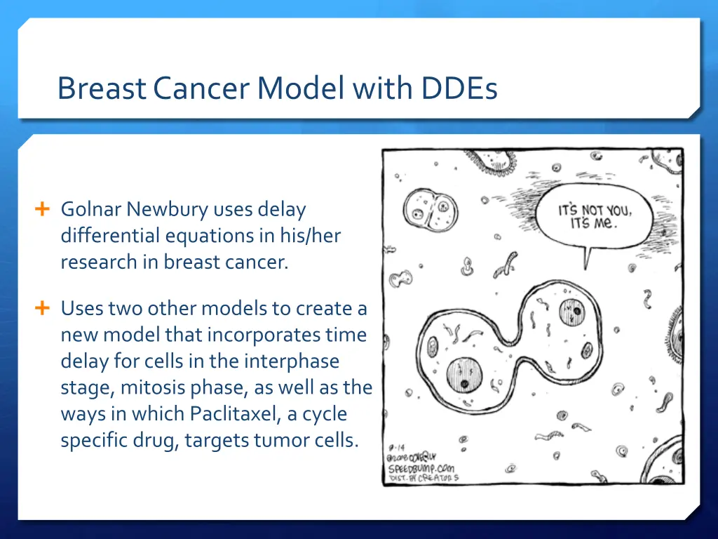 breast cancer model with ddes