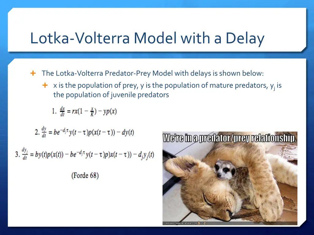 lotka volterra model with a delay