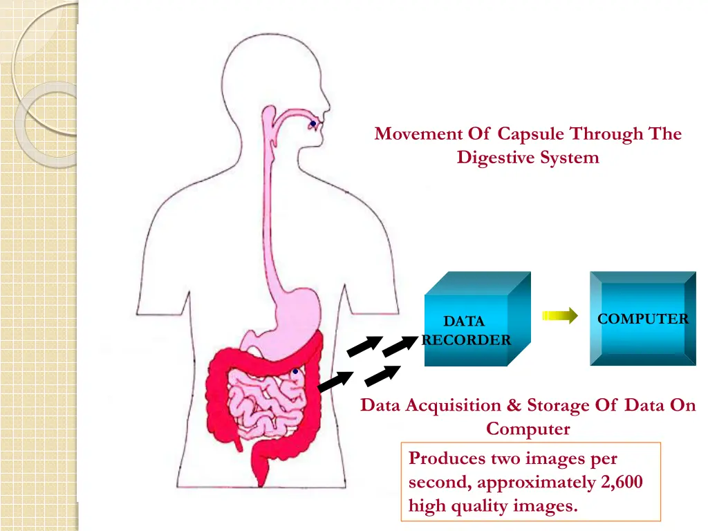 movement of capsule through the digestive system