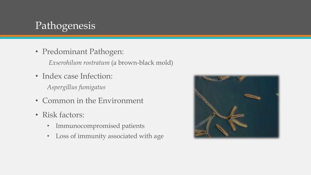 pathogenesis