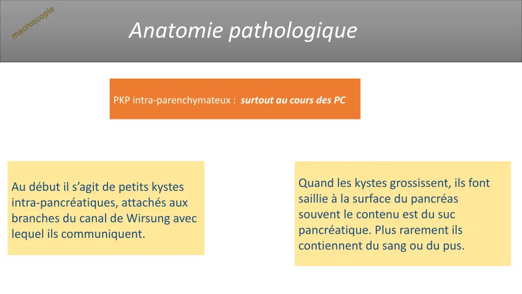anatomie pathologique 2