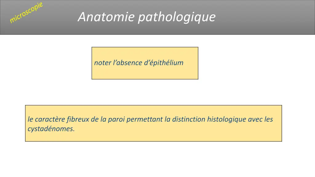 anatomie pathologique 3