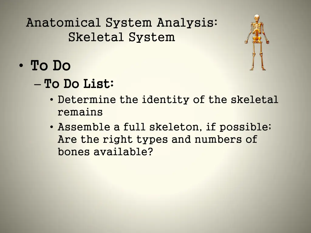 anatomical system analysis skeletal system 13