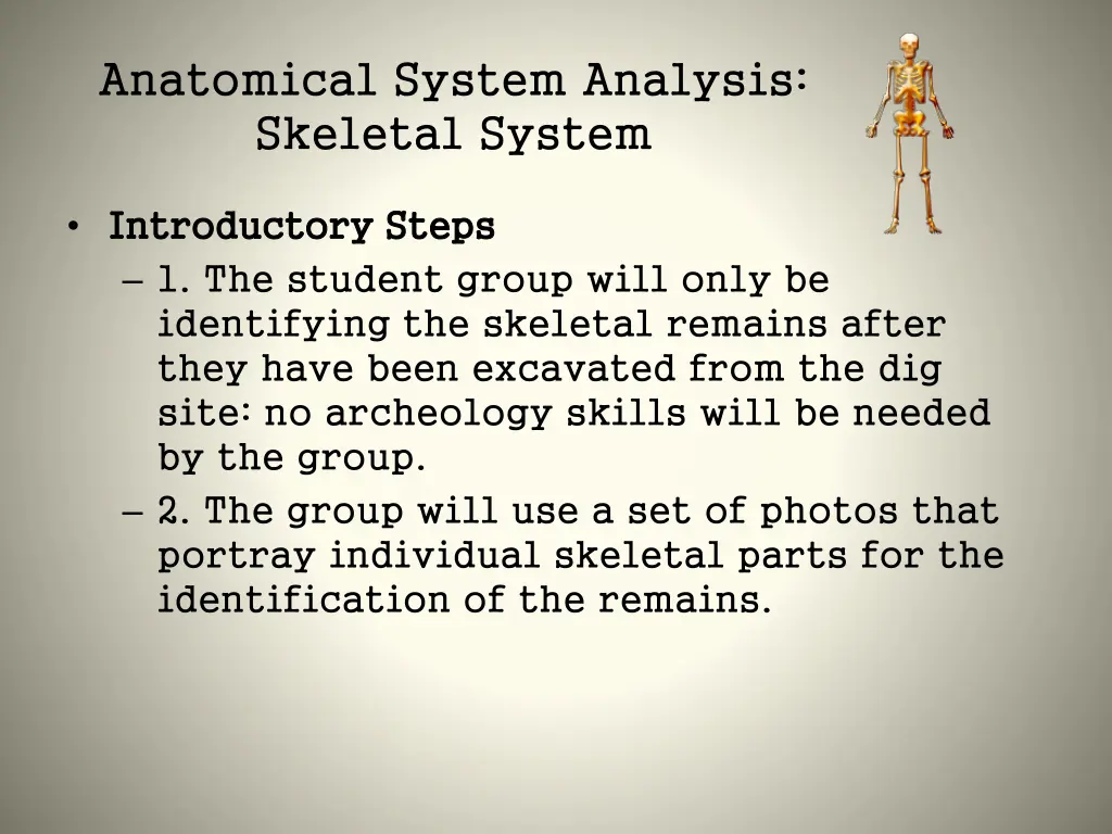anatomical system analysis skeletal system 2