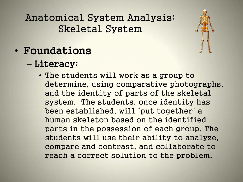 anatomical system analysis skeletal system 3