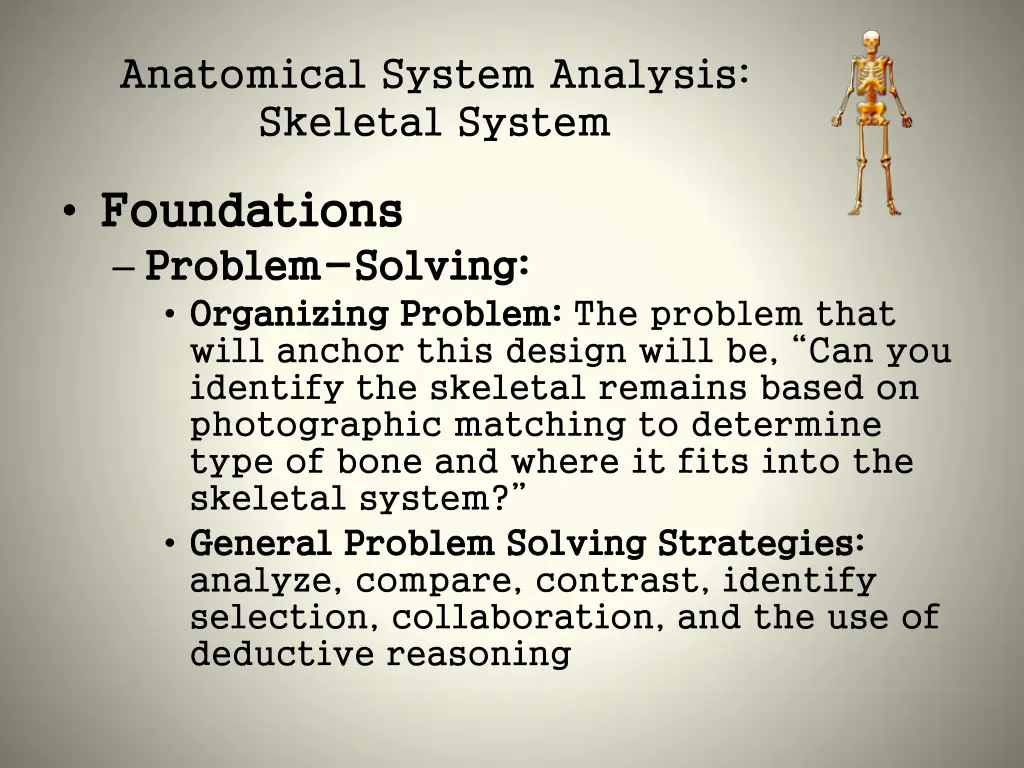 anatomical system analysis skeletal system 4