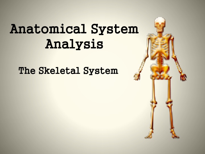 anatomical system anatomical system analysis