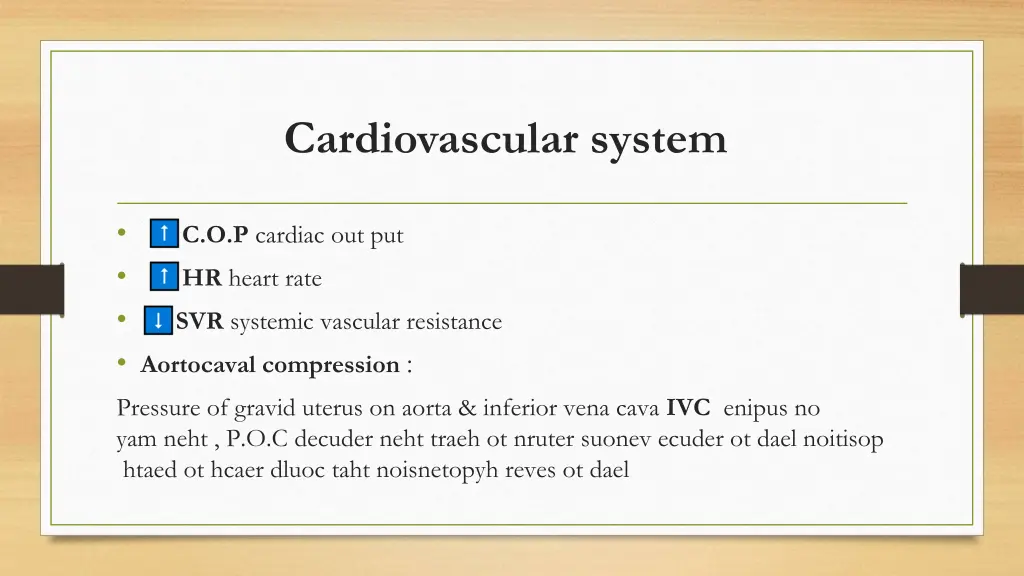 cardiovascular system