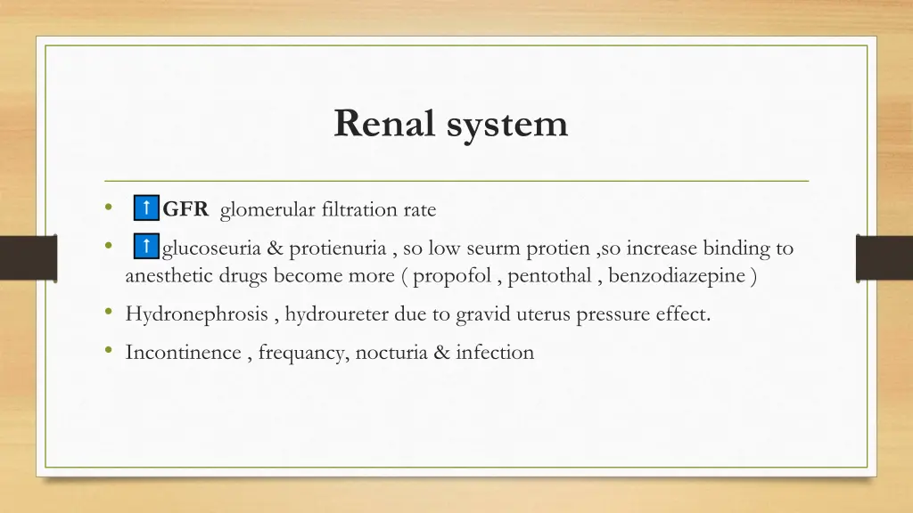 renal system