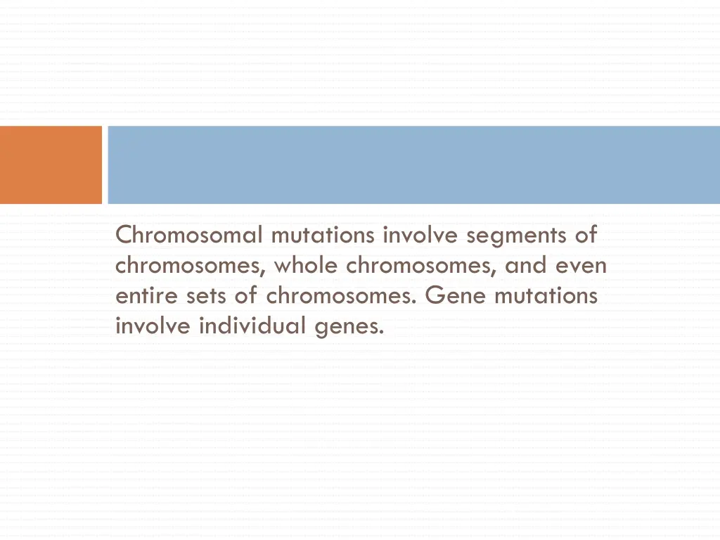 chromosomal mutations involve segments