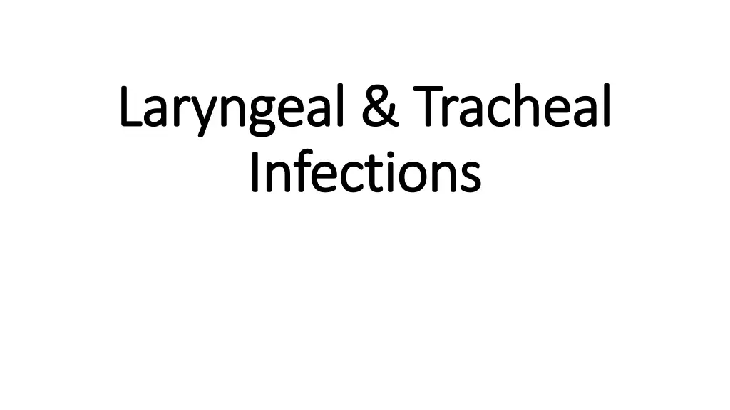 laryngeal tracheal laryngeal tracheal infections
