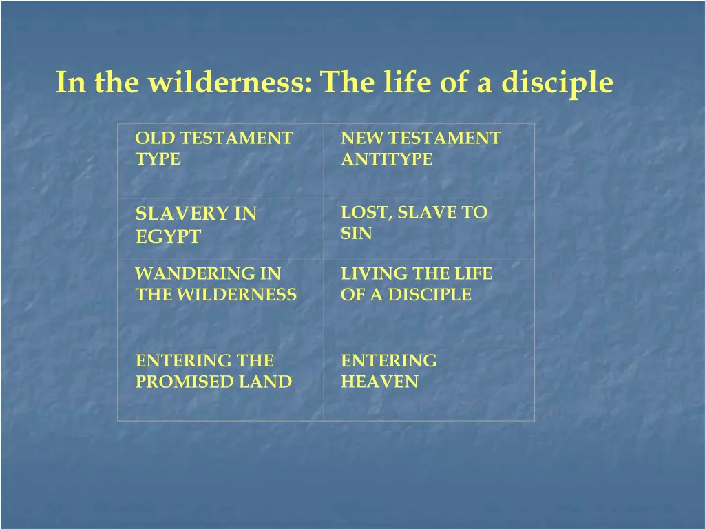 in the wilderness the life of a disciple