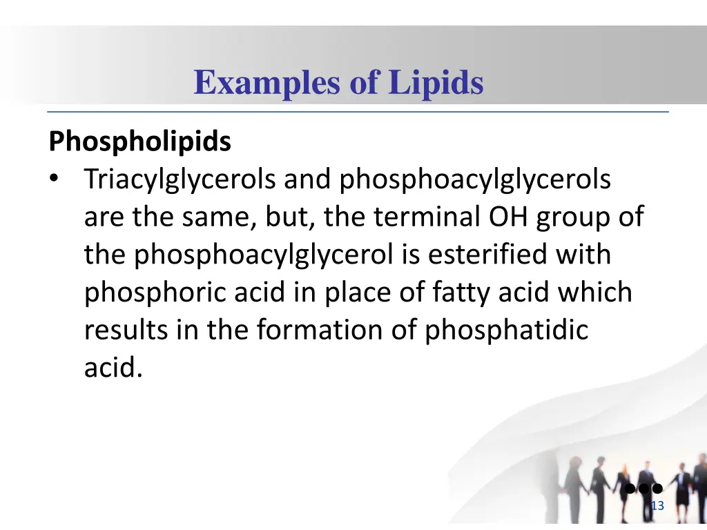 examples of lipids 1
