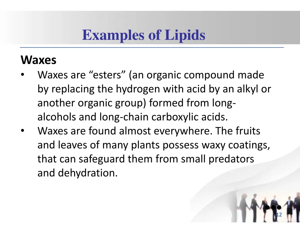 examples of lipids