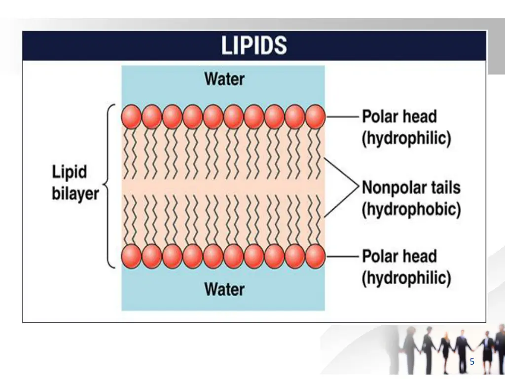 slide5