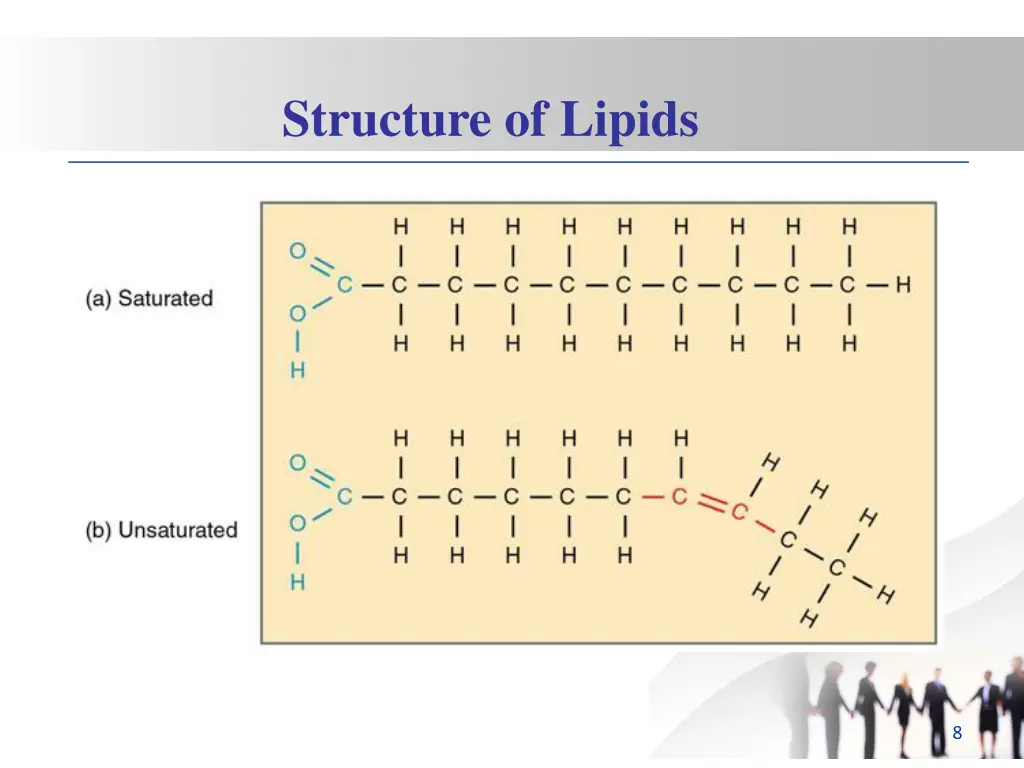 structure of lipids