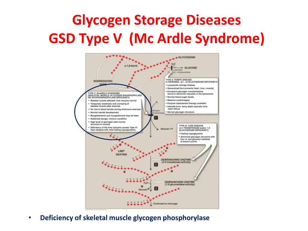 glycogen storage diseases gsd type v mc ardle