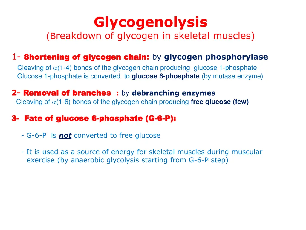 glycogenolysis b reakdown of glycogen in skeletal