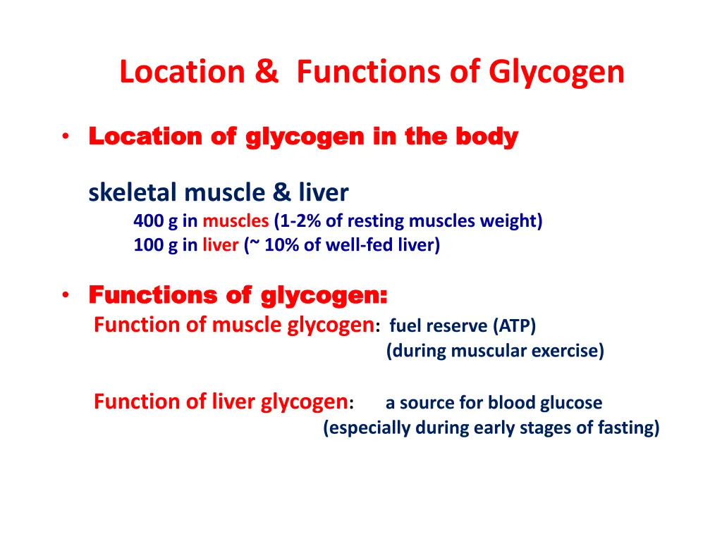 location functions of glycogen