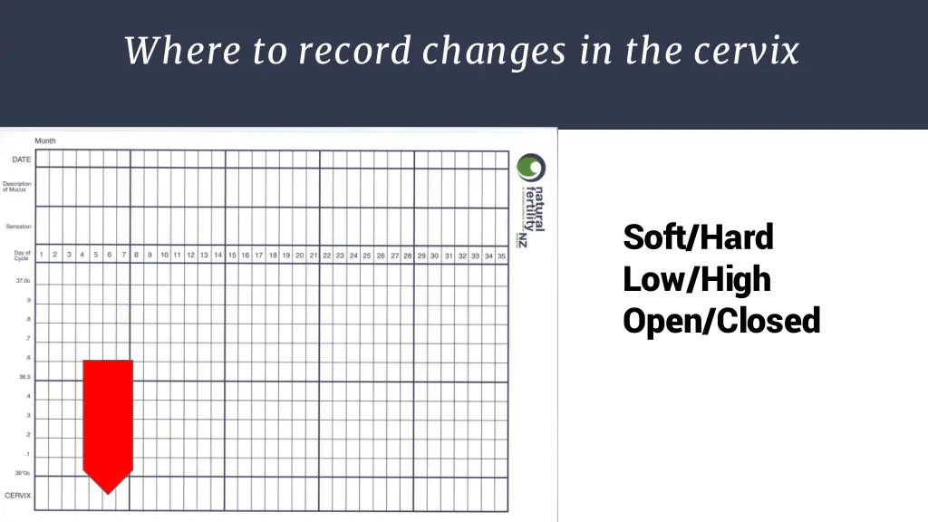where to record changes in the cervix