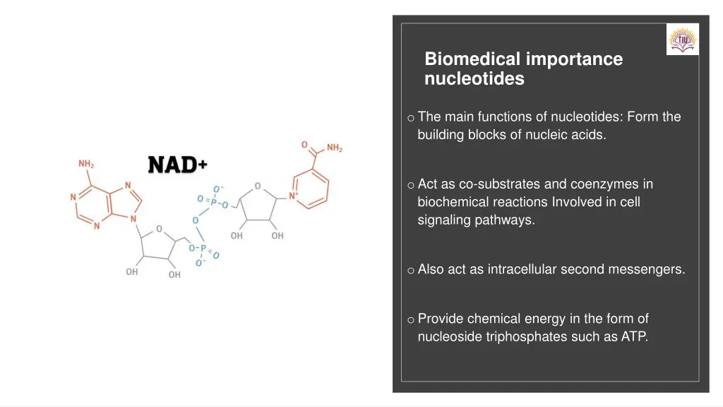 biomedical importance nucleotides