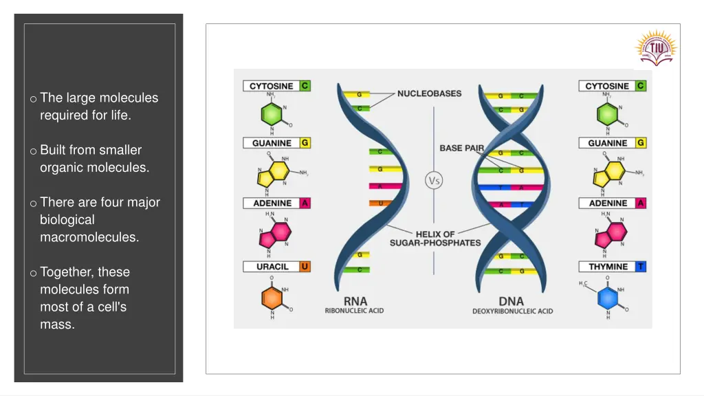 o the large molecules required for life