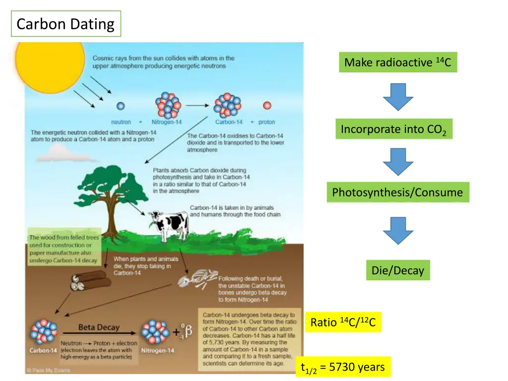 carbon dating